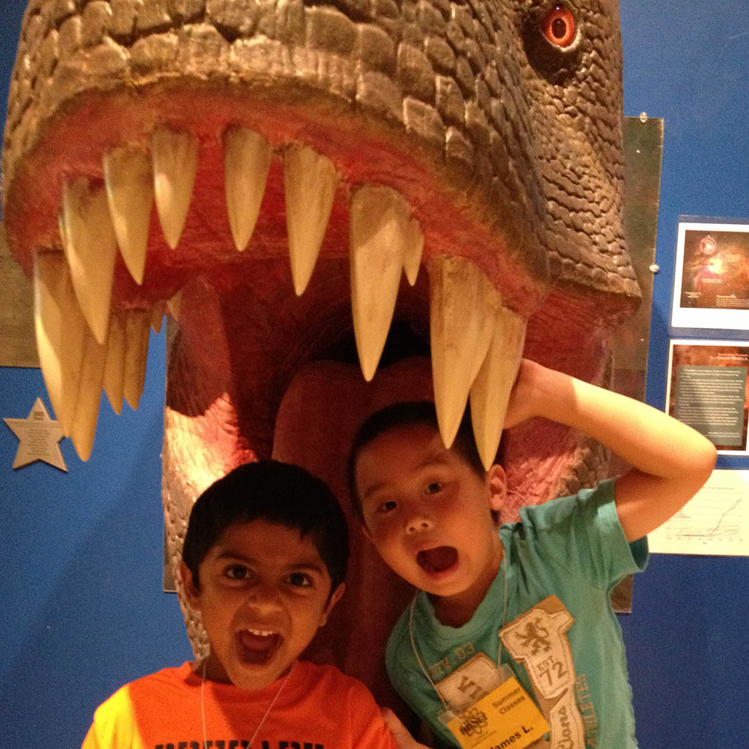 Age of the Dinosaurs